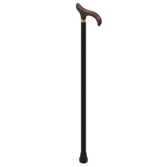 3d rendering illustration of a walking stick