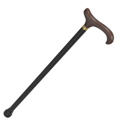 3d rendering illustration of a walking stick
