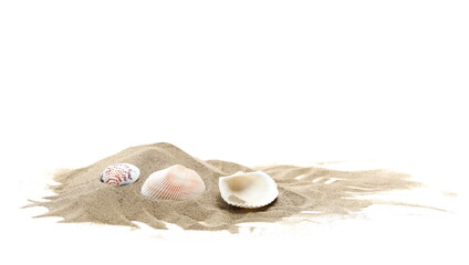 Sea shells in sand pile isolated on white background - Powered by Adobe