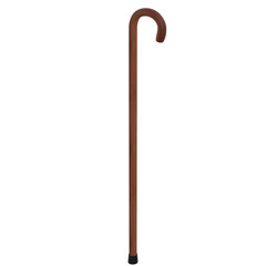 3d rendering illustration of a walking stick