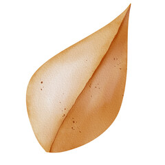 Watercolor orange leaf with transparent
