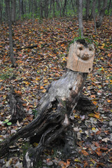 Richmond 10 Octobre 2022