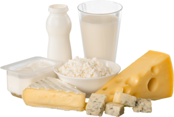 Fresh Dairy Products, Milk and Cheese isolated on white background