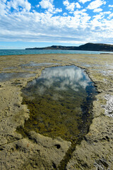 Coastal landscape with cliffs in Peninsula Valdes, World Heritage Site, Patagonia Argentina