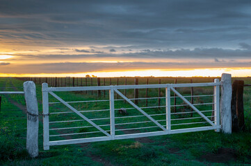 Obraz premium Field gateway in countryside, Buenos Aires province, Patagonia , Argentina