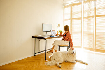Woman works on computers while sitting by a cozy workplace with her dog at sunny room. Concept of...