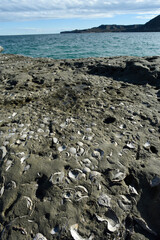 Coastal landscape with cliffs in Peninsula Valdes, World Heritage Site, Patagonia Argentina
