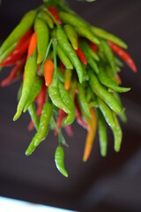 Green and Red Peperoni Chili