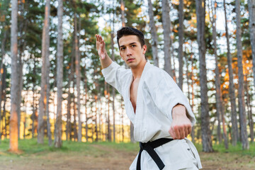 A young man doing karate in the forest training strength pose meditation  © Dusan