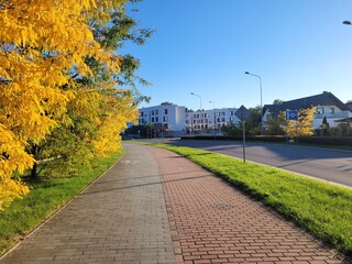 Walkaway and bicycle path during sunny autumn day in a city