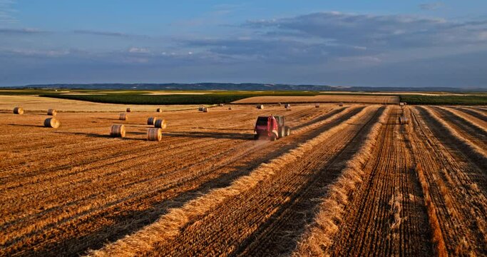 Agricultural farm tractor baler in action on a harvested wheat field