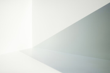 Light and shadow in the backdrop of an open white room.