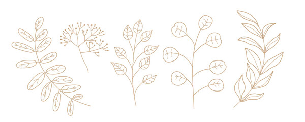Plant sketch collection. Winter golden color plant set. Vector illustration in Scandinavian doodle style isolated on white background.. Seasonal doodle. Rustic wedding greenery. Christmas florals.