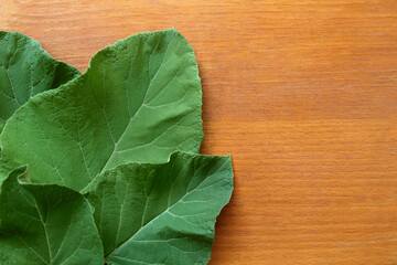 Fresh green burdock leaves on wooden table, flat lay. Space for text
