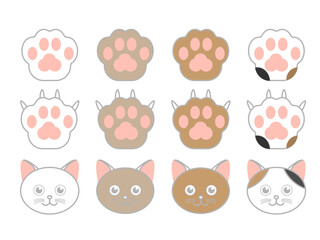 Obraz premium かわいい猫と肉球