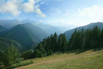 Naklejka premium Picturesque view mountain landscape with meadow and forest on sunny day