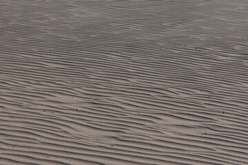 Plage de sable, détail
