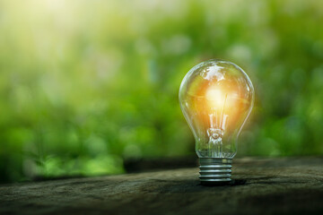 Green energy concept.Environmental protection, renewable, sustainable energy sources.The light on...
