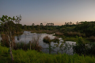lake in the middle of the vegetation at the end of the day