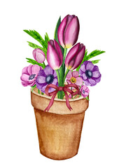 Watercolor decoration with flowers in flower pot