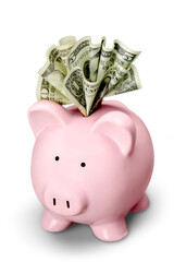 Pink piggy bank with a dollar banknotes isolated on white background