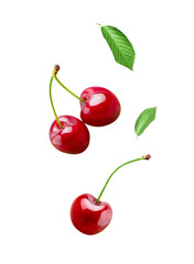 Sour cherry berries isolated on white or transparent background. Falling cherry fruits with green...