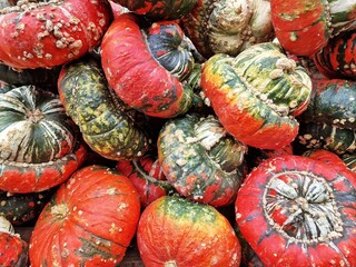 Turban squash, also known as "Turk's turban" or "French turban" ("Giraumon" in French), is a type of squash most often used as a winter squash. It has a typical red and green color