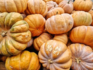 Giant orange Muscat squash is often referred to as Muscat de Provence or Muscat pumpkin