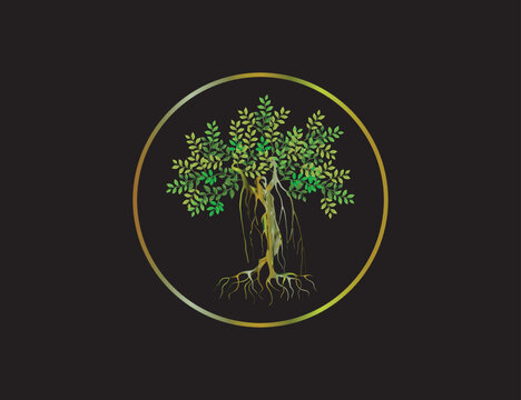 Abstract human tree logo with circular frames. banyan tree concepts.