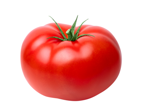 Tomato vegetable isolated on white or transparent background. One fresh tomato. 