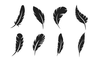 Black feather vector illustration. Bird feather set. Writing symbol. Vector EPS 10