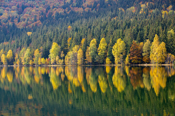 landscape with yellowed trees reflecting in the water