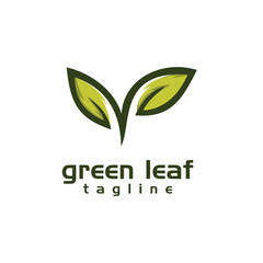 leaf green logo inspirations - vector