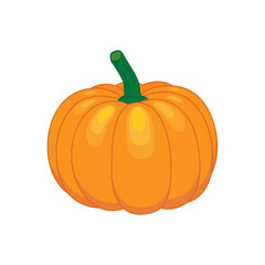 Pumpkin.Color vector illustration in cartoon flat style. Isolated on white background.