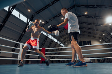 Fototapeta na wymiar Two sportive men, professional boxer and personal trainer is practicing boxing at gym. Sport, strength, energy and power