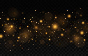 Obraz na płótnie Canvas Sparkling magical dust particles. The dust sparks and golden stars shine with special light on a black background. Christmas concept.