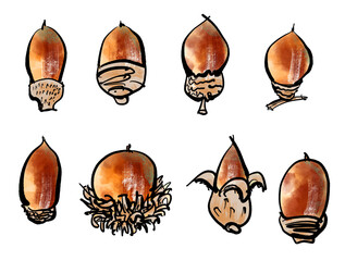 どんぐりの手書きイラスト（筆書き墨絵風） © FudeEshi