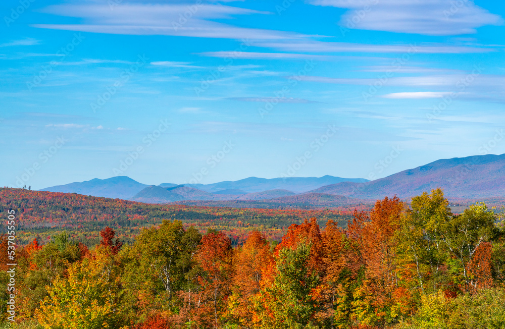 Poster autumn mountain and colorful forest