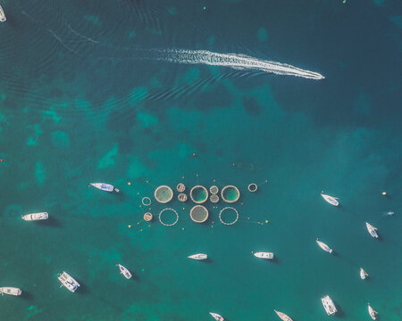 Aerial view of a fish farm, Port Andratx, Mallorca, Spain.