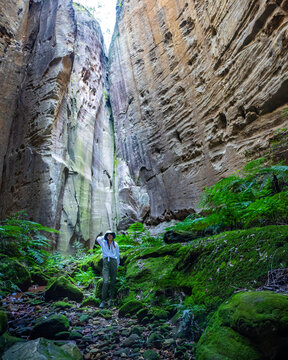 jungle girl hat hiking in carnarvon gorge in queensland; wild australian outback, australian bush