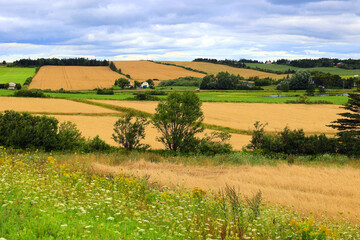 Landscape in summer in Prince Edwards Island Canada