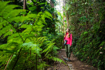 Obraz premium A backpacking girl walks through a dense tropical rainforest in springrbook national park, australia; hiking through a jungle in queensland