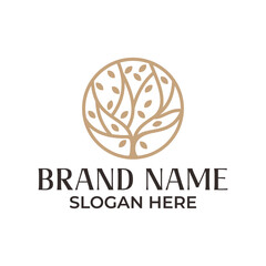 Fototapeta premium Oak tree logo. Nature brand identity line icon. Modern natural Oak wood symbol Vector illustration