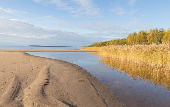 Autumn colours at Gulf of Bothnia © Susannahietanen