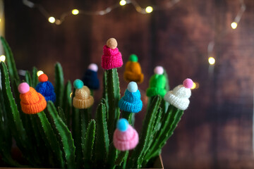 Multicolored woolen decorative hats with pompoms are worn on the stems of a live cactus in a pot at home. Funny and creative. Winter concept.