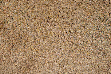 texture of a carpet