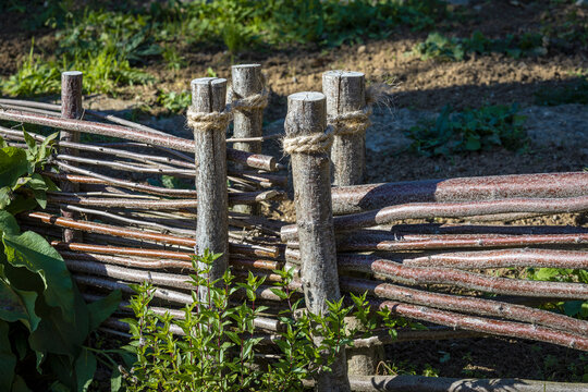 Niedriger bilder Bläddra bland 341 stockfoton, vektorer och videor