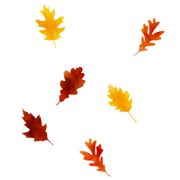 watercolor autumn leaves isolated on transparent background