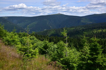 Fototapeta na wymiar View from Dlouhe Strane of Praded peak, Hruby Jesenik, Jeseniky Mountains