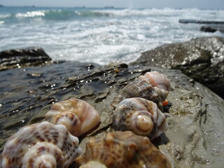 Nice summer view from Varna in Bulgaria 